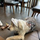 아저씨돈까스 이미지