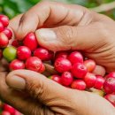 주명농장 이미지