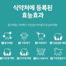 포레스트모가 | 올리브영 루치펠로 제품 추천 내돈내산(다이노탱 기획 칫솔, 미스틱포레스트 치약)