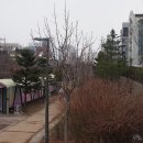 사천교 버스정류장 이미지