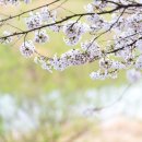 홈플러스 조치원점 이미지