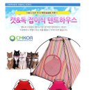 텐트하우스