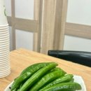 내돈내산 언주역 맛집 / 논현동 돈까스 &#34;가나돈까스의 집&#34; 정식 돈까스와 알밥 솔직 후기