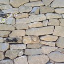 효재의원 이미지