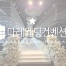 드마레웨딩컨벤션 | 𝑊𝐸𝐷𝐷𝐼𝑁𝐺 03. 세 번째 이야기 | 웨딩홀 투어(평택) - 드마레웨딩컨벤션 & 상담 후기