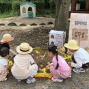 월곶어린이집 이미지