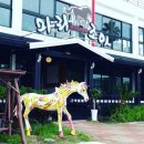 제주 마로 이미지