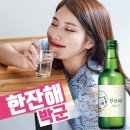 한잔해 - 해남군 천변1길 12 | 한잔해