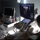 예은동물의료센터 이미지