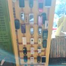 허브나무 이미지