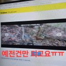 풍기볼일후 자락 심산행.8 이미지