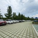 공항교강변공원 | 대구 야외 웨딩스냅 장소 추천 대구 피크닉 명소 공항교강변공원