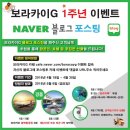 보라여행사 - 서구 둔산로 220 | 보라여행사