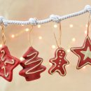 정원행정사 이미지