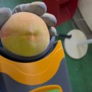 월광농원 이미지