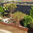 신평동행정복지센터 이미지