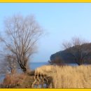 로하스 해피로드 이미지