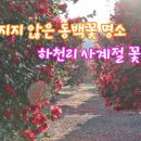 사계절꽃농원