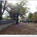 대흥 PC | [251117 일상]집콕하며 완주 일원 패키지버스 여행 후기 업로드