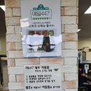 메밀447