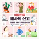 야생조류 폐사체 신고 이미지