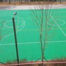 꽃내중학교 이미지