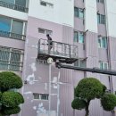 칠칠공사 이미지