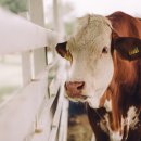 건강이열리는약국 이미지