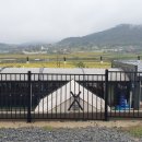 서산글램핑 이미지