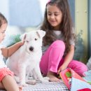 도그플러스 동물병원 이미지