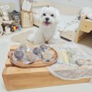 삼형제 펫푸드 이미지