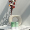 하나하양김정문알로에 | 김정문알로에 쿨링선스틱 올리브영 자외선차단제 #얼음자차 여름 필수템