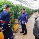 마산기술지원과(마산농업기술센터) 이미지