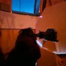 포레스트밸리 이미지