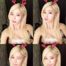 머리가예쁜나라 네이버블로그