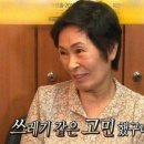 왕거미 이미지