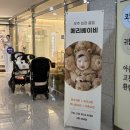 베이비멍 | 위례 메리베이비 백일촬영 곰인형컨셉 후기(내돈내산)