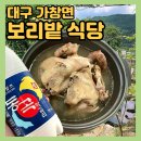 과수원속야채밭 | 대구•경북 가창 계곡 식당 추천 “보리밭식당” 백숙•오리불고기 맛집