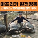 아일랜드 | 아프리카 잔지바르 필수 투어 | 스파이스투어 + 프리즌 아일랜드 거북섬 후기