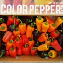 라온나라 이미지