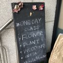 하슬라플라워