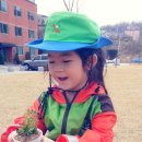 천사어린이집앞공원 이미지