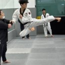 용인대 한국 체육관(태권도) 이미지