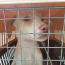 대천주유소 이미지