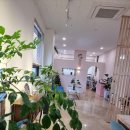 비비브로우 이미지