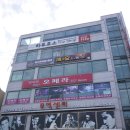 하루효소편백