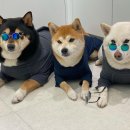 하센호텔 이미지