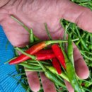 산우농장 이미지