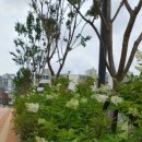 화정근린공원 화장실 이미지