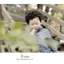 현진목장 Daum카페